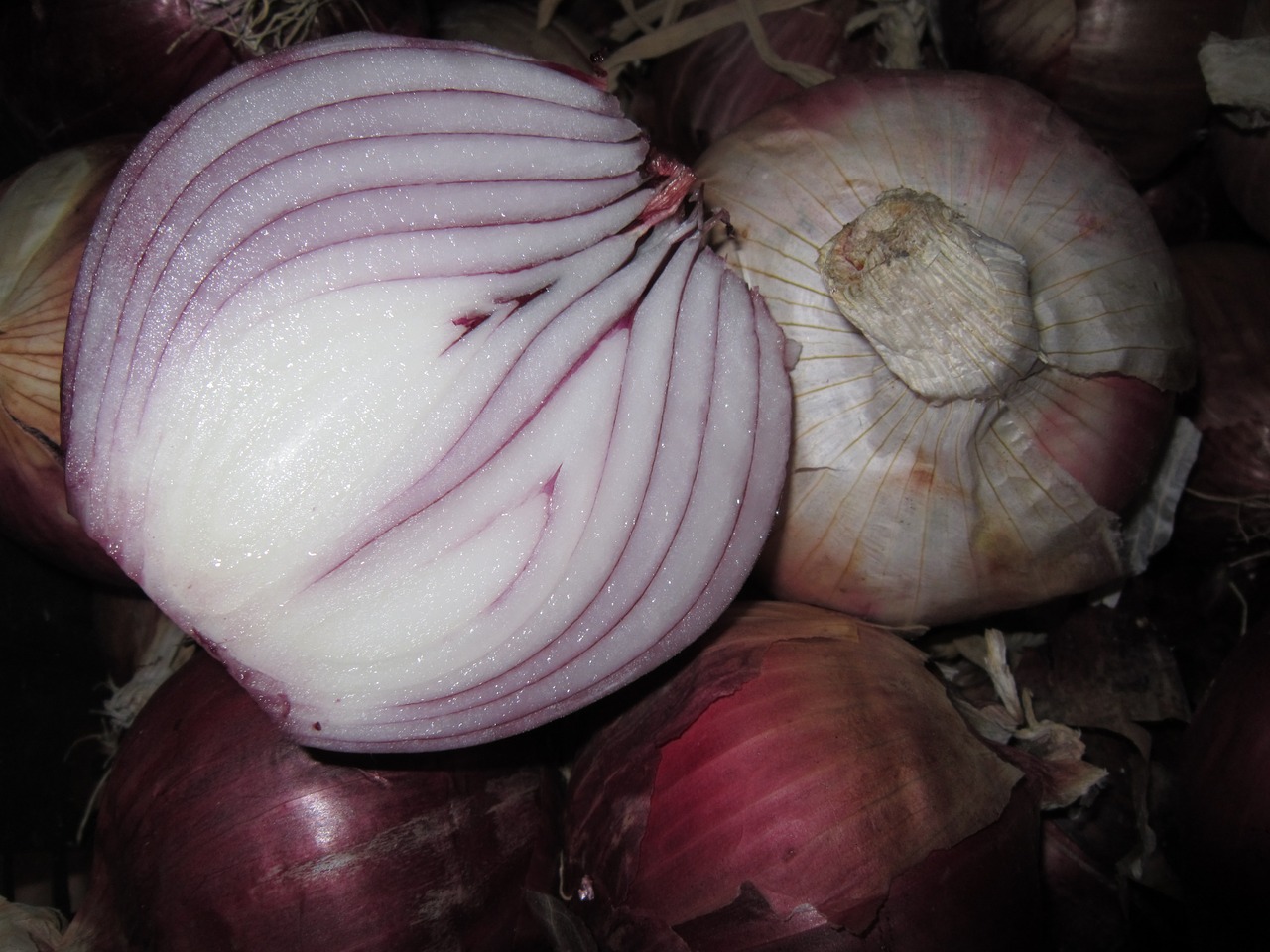 onion red onion raw free photo