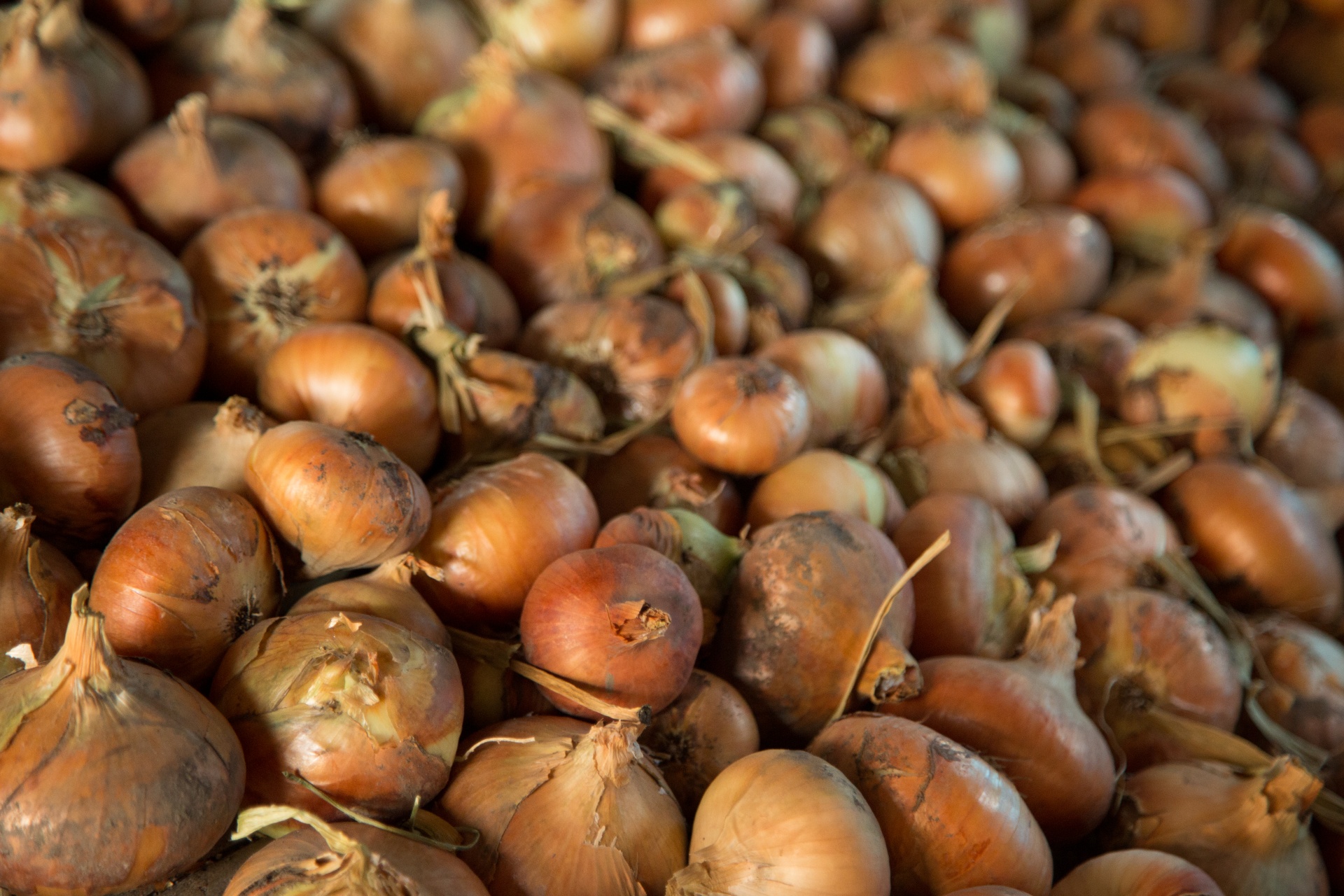 agriculture background brown free photo