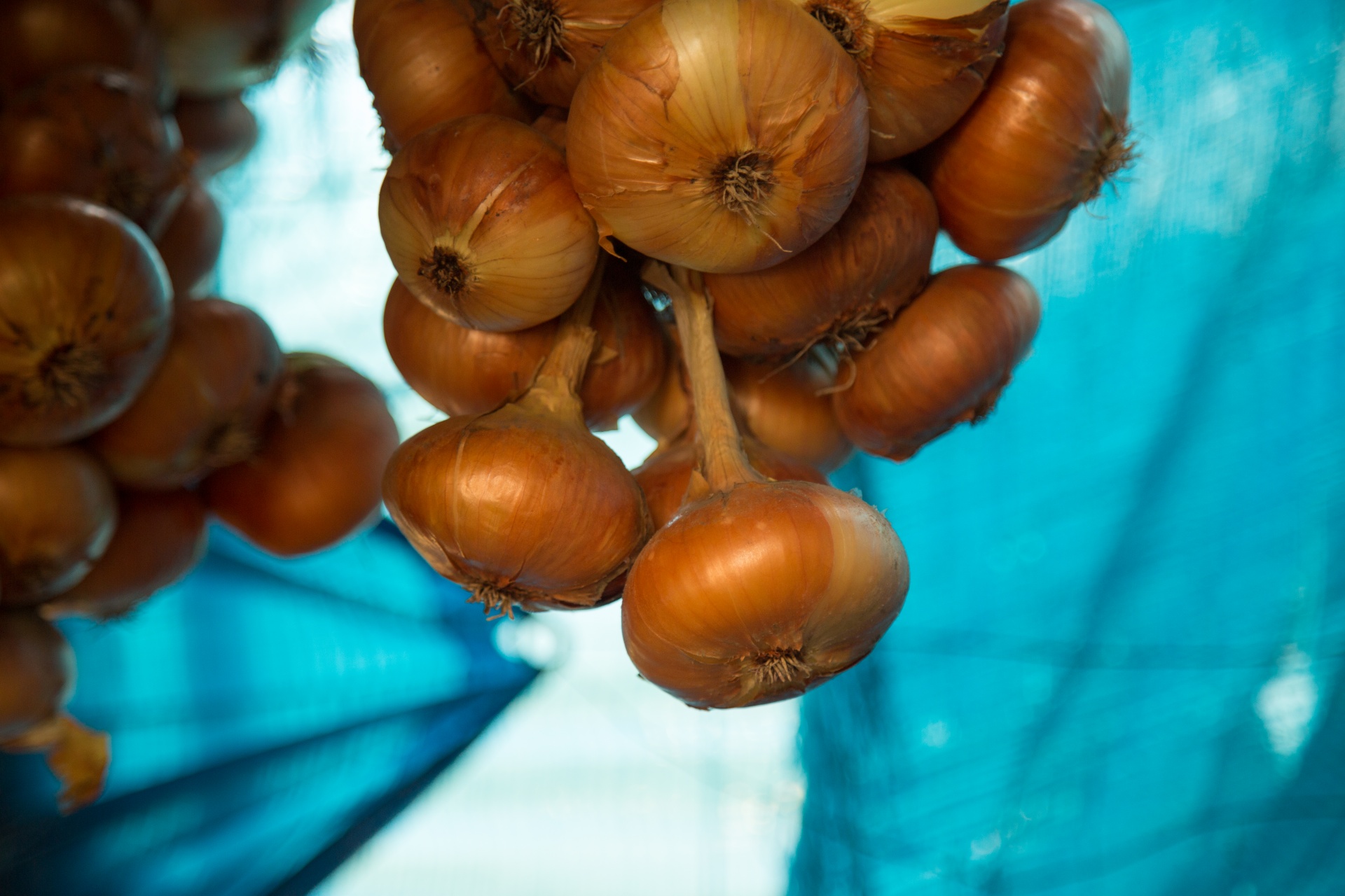 agriculture background brown free photo