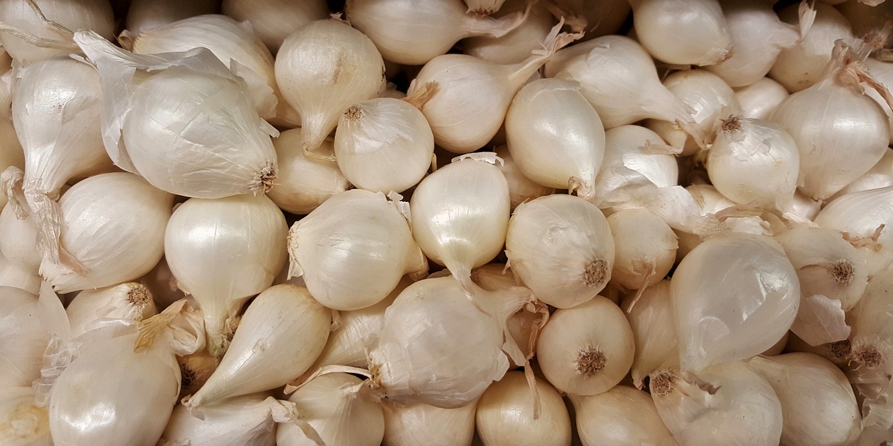 onions pearl onions vegetables free photo