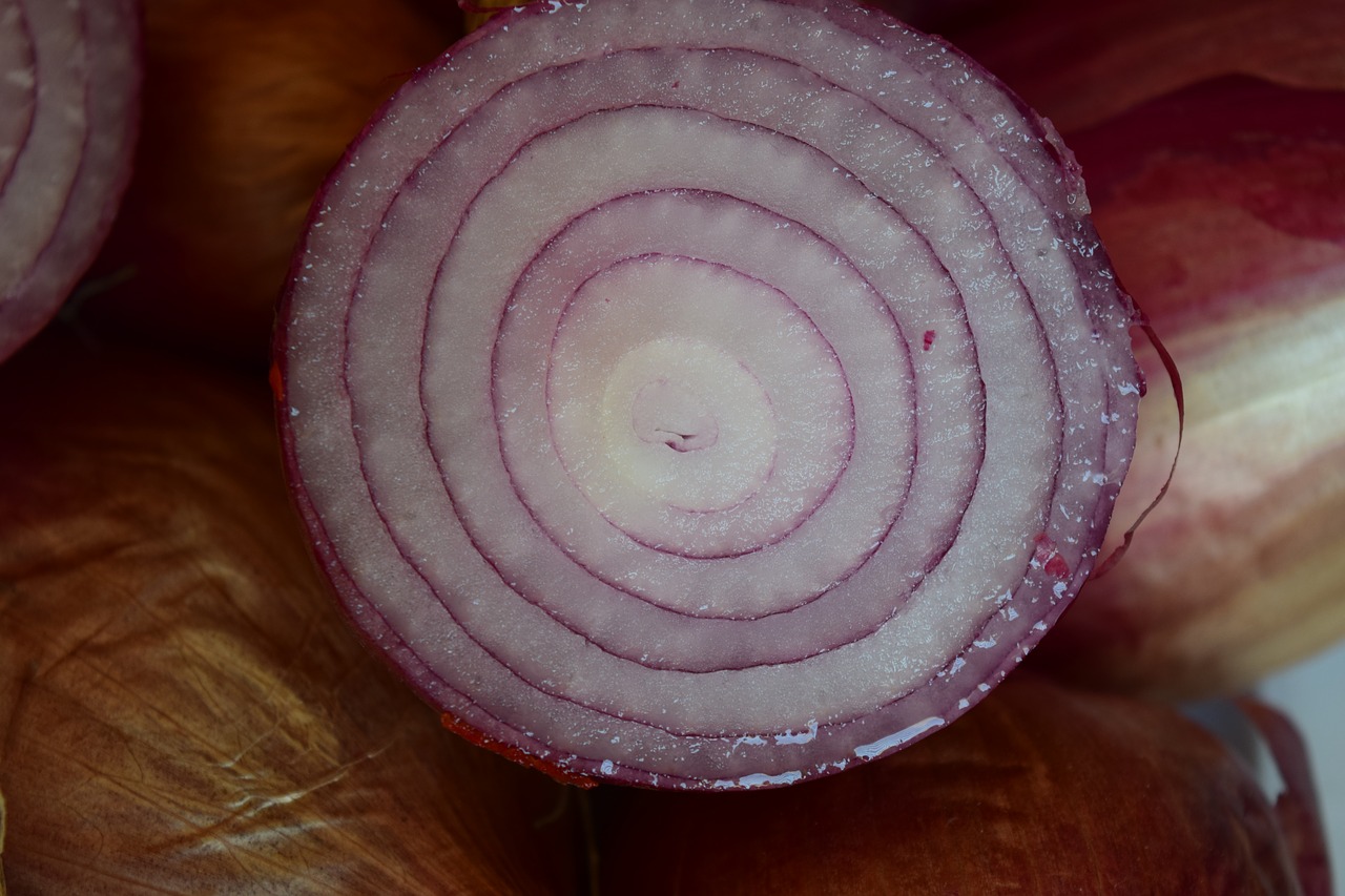 onion onion rings frisch free photo