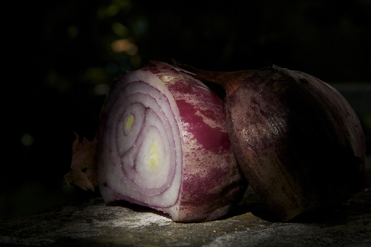 onion red vegetable free photo