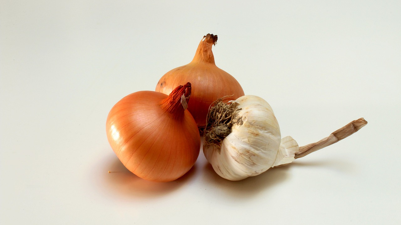 onion food health free photo