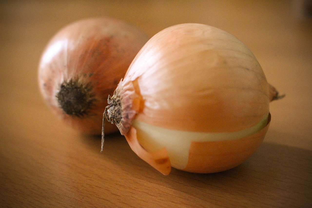 onion vegetale asia free photo