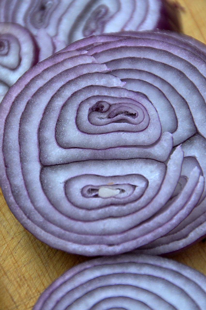 onion purple cooking free photo