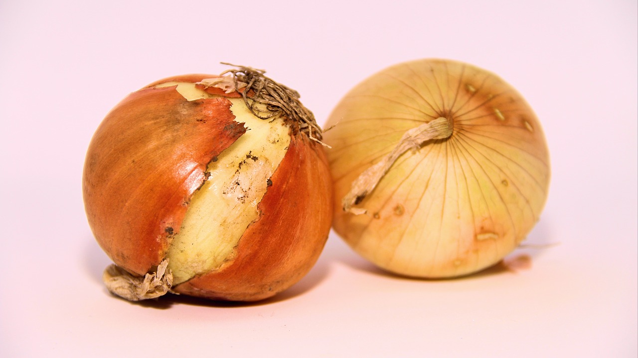 onion food vegetable free photo