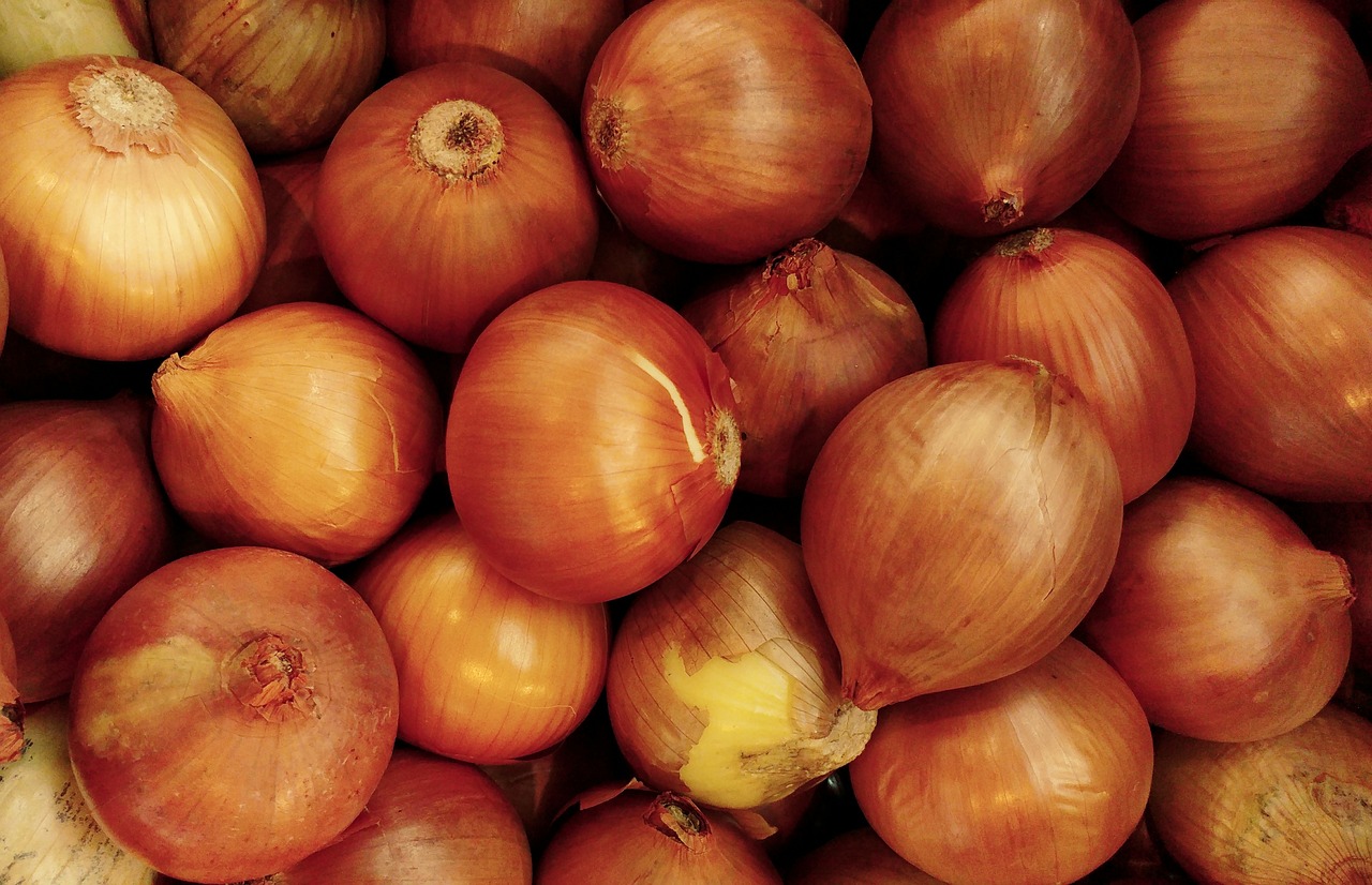 onion vegetable natural free photo