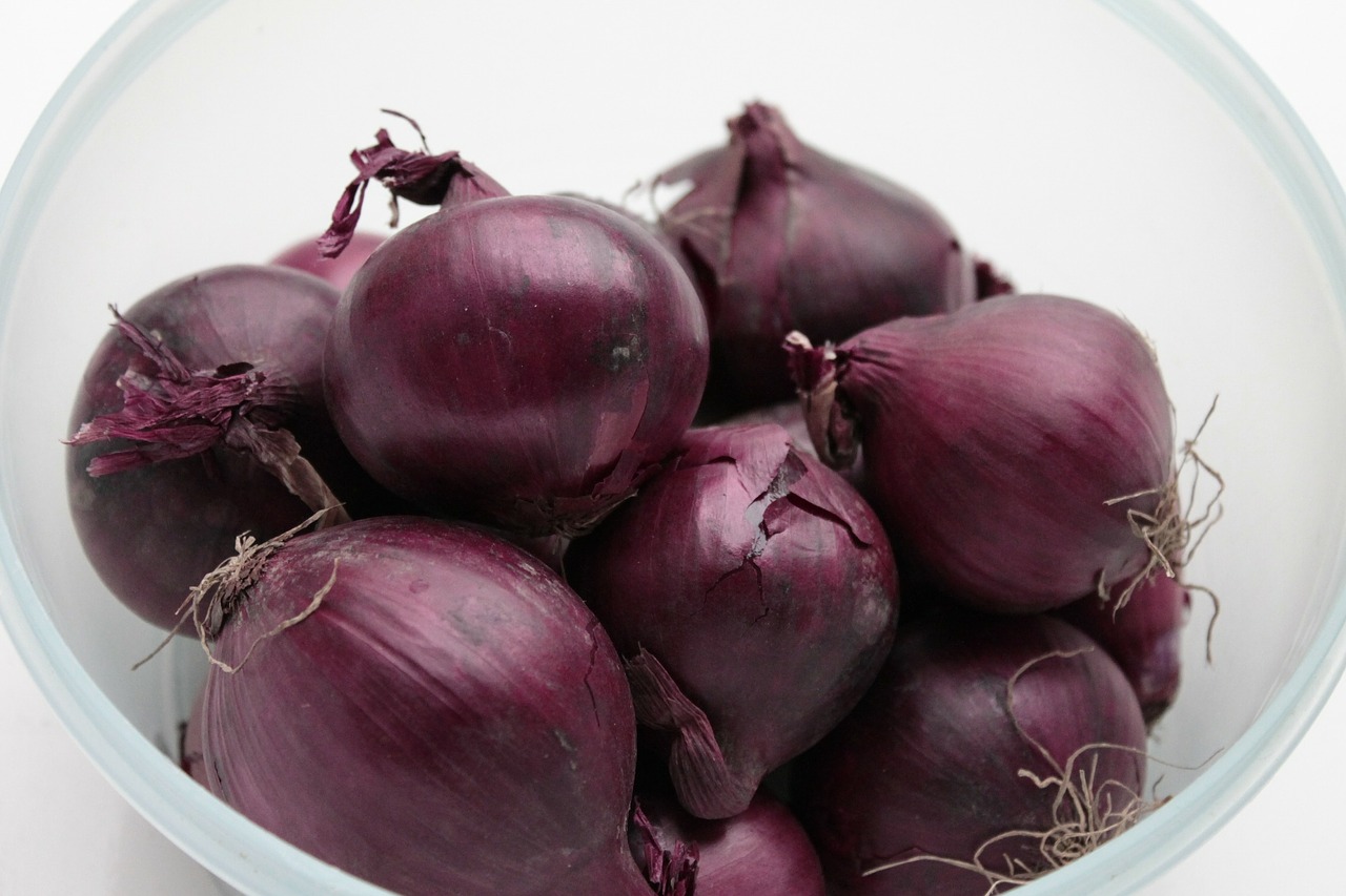 onion red antioxidants free photo