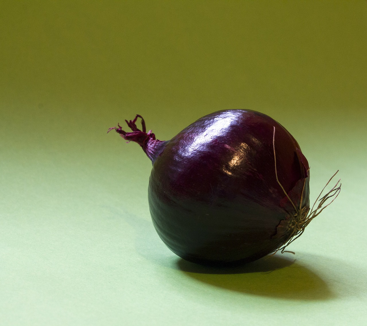 onion zwiebelig onions free photo