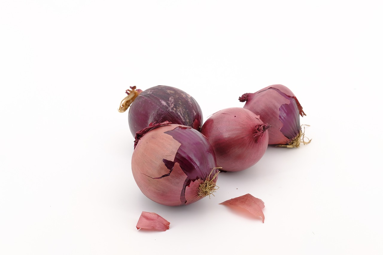 onion  red onion  vegetables free photo