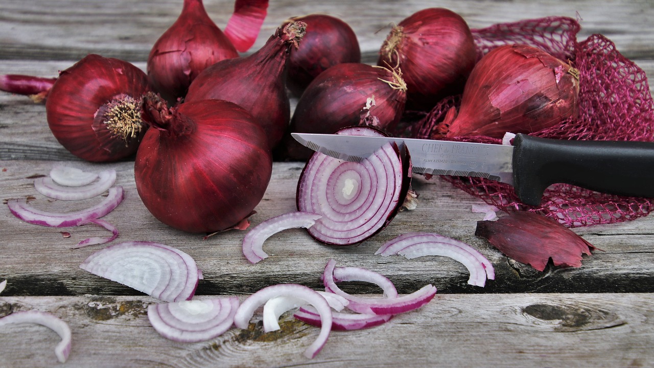 onion  slices  red free photo