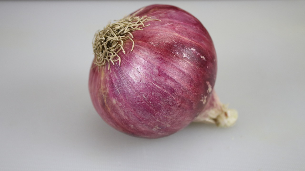 onion  fresh  farmfresh free photo