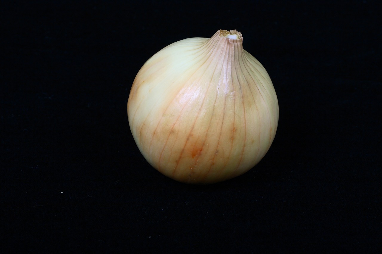 onion vegetable food free photo