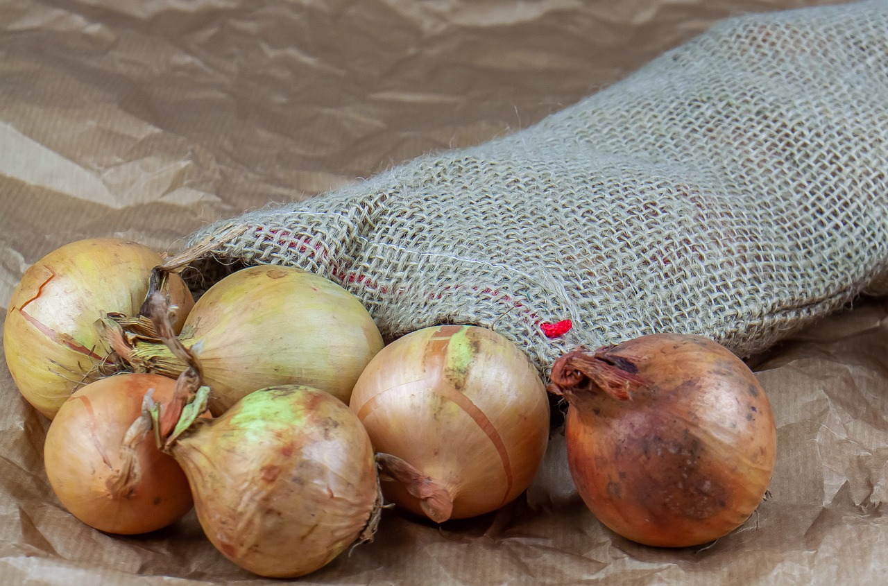 onion  bag  jute free photo