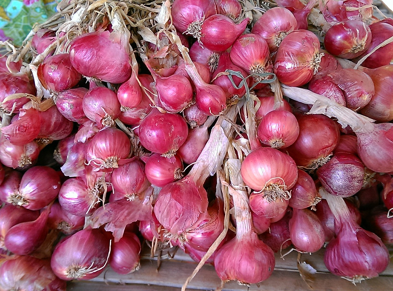 onion red onion vegetable free photo