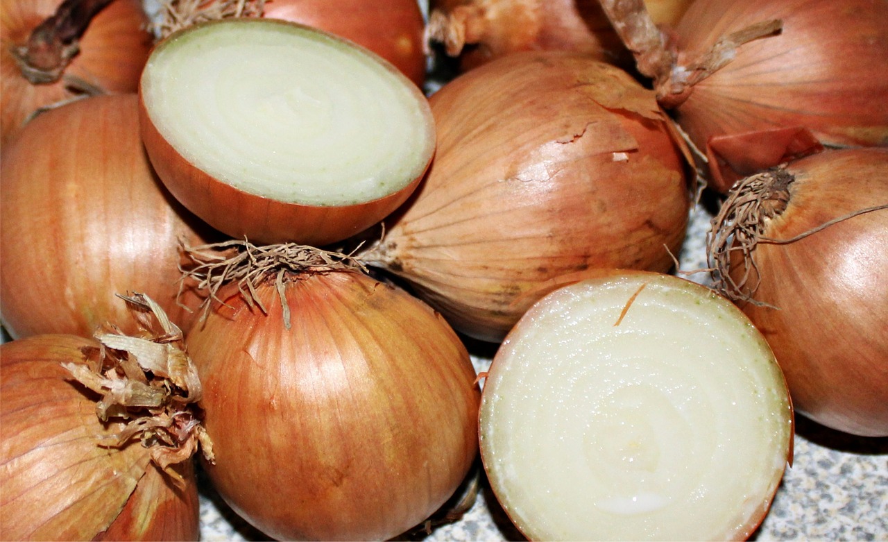 onion vegetable onion brown free photo