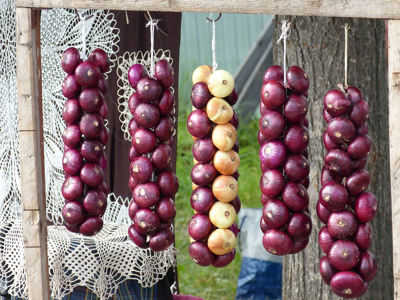 onion market vegetables free photo