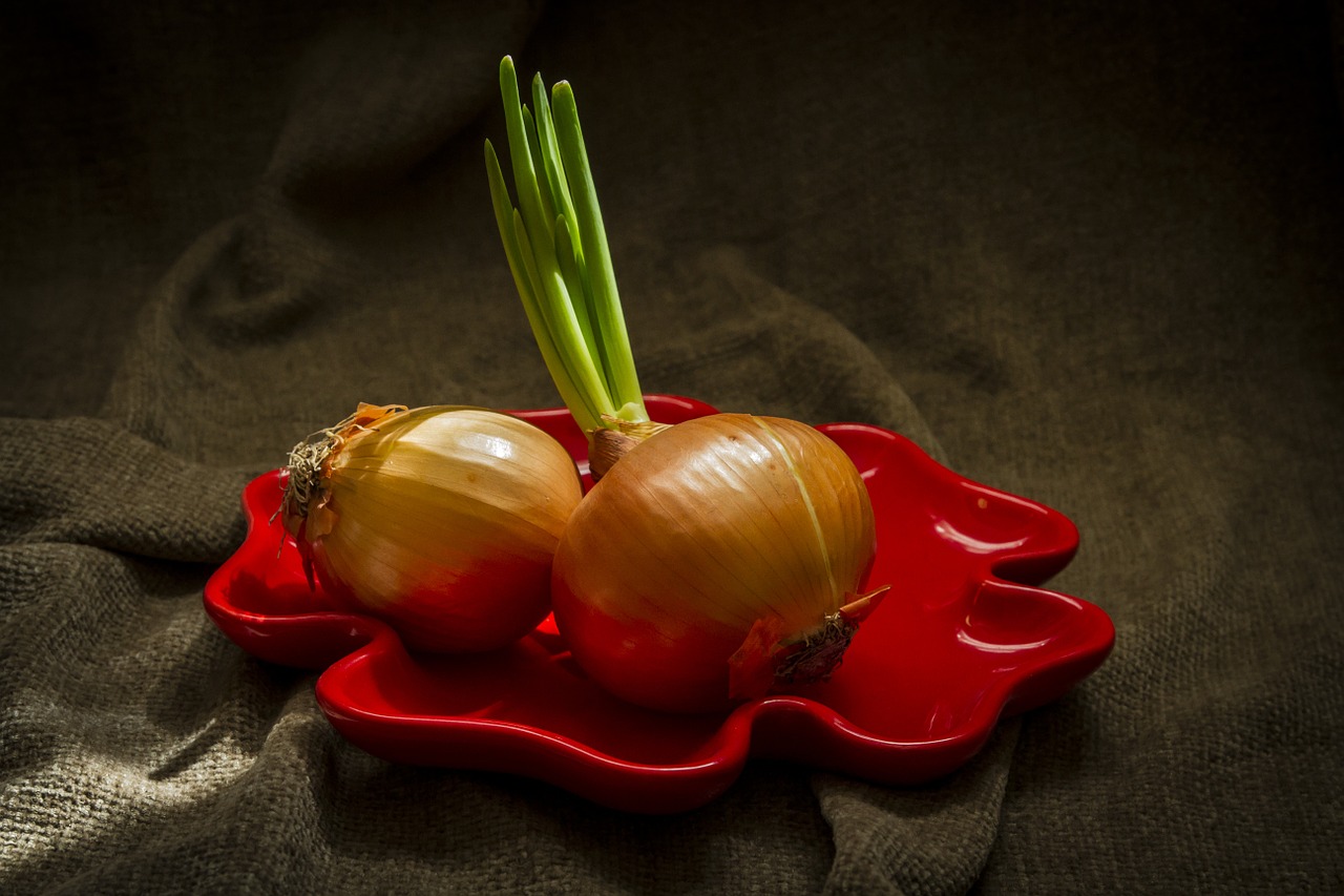 onion vegetable light free photo