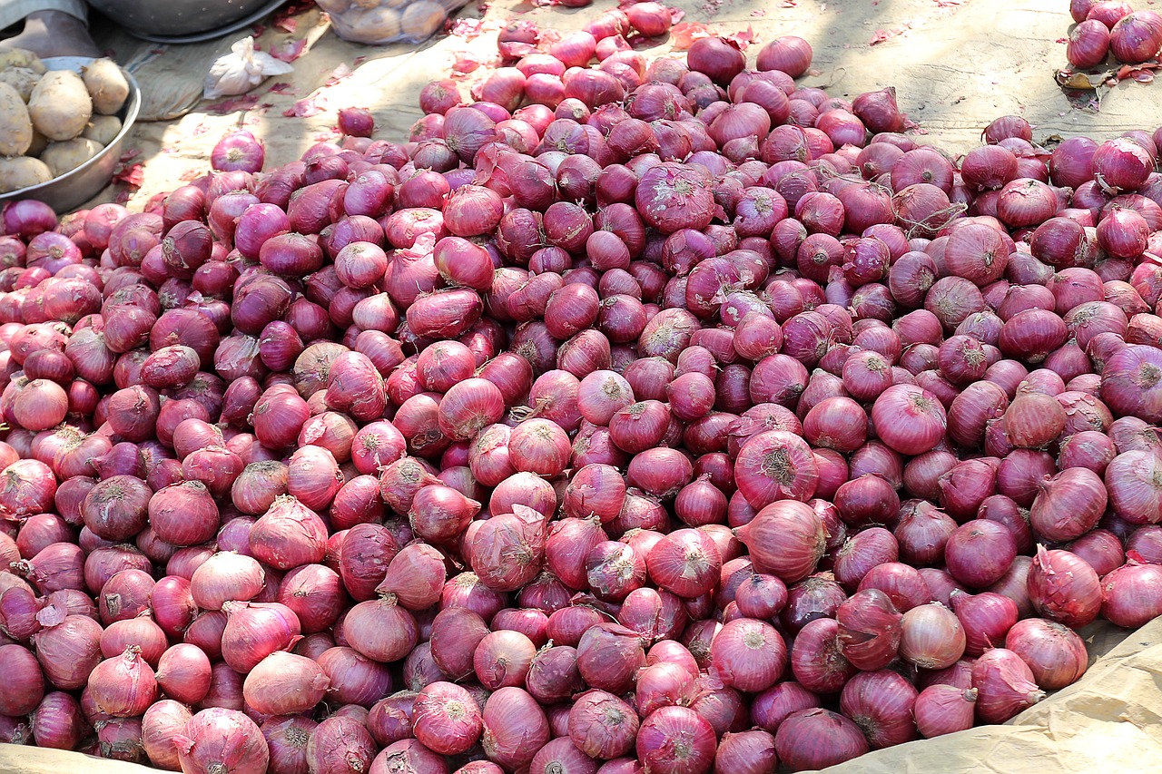 onion red onion market free photo