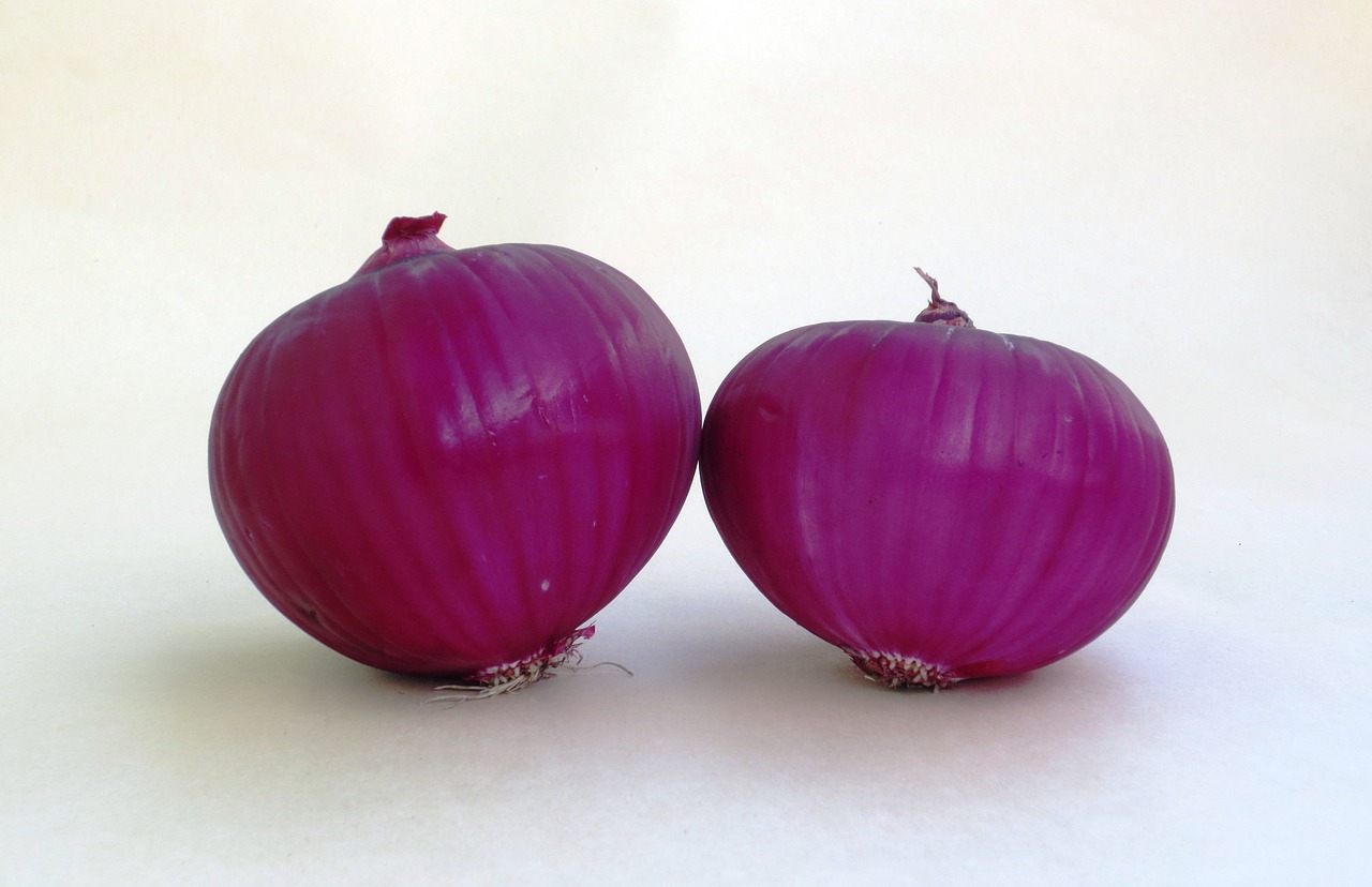 onion fruit vegetable red onion free photo