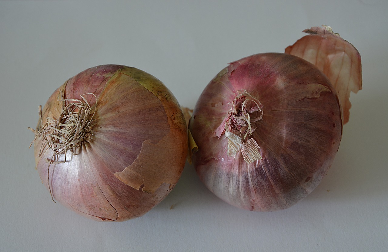 onions vegetables market free photo