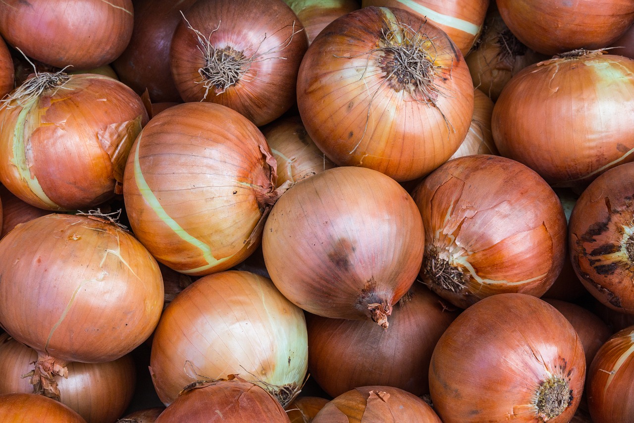 onions vegetables healthy free photo