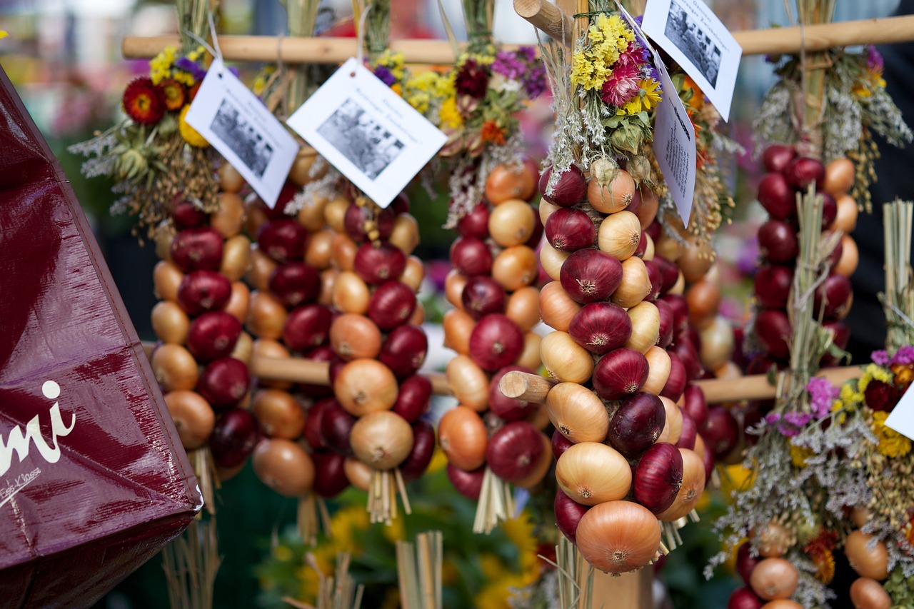 onions vegetables eat free photo