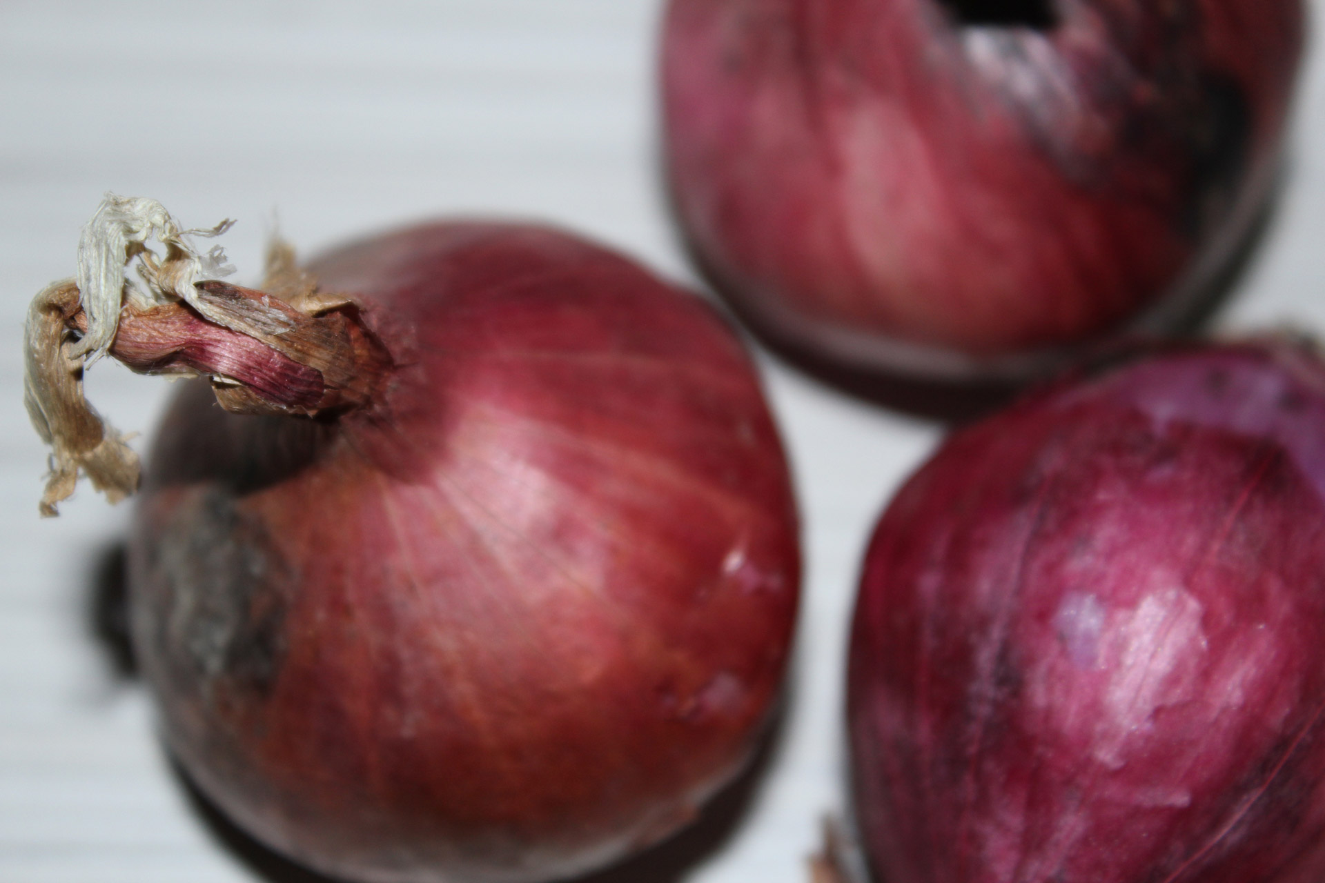 isolated onions onions onions free photo