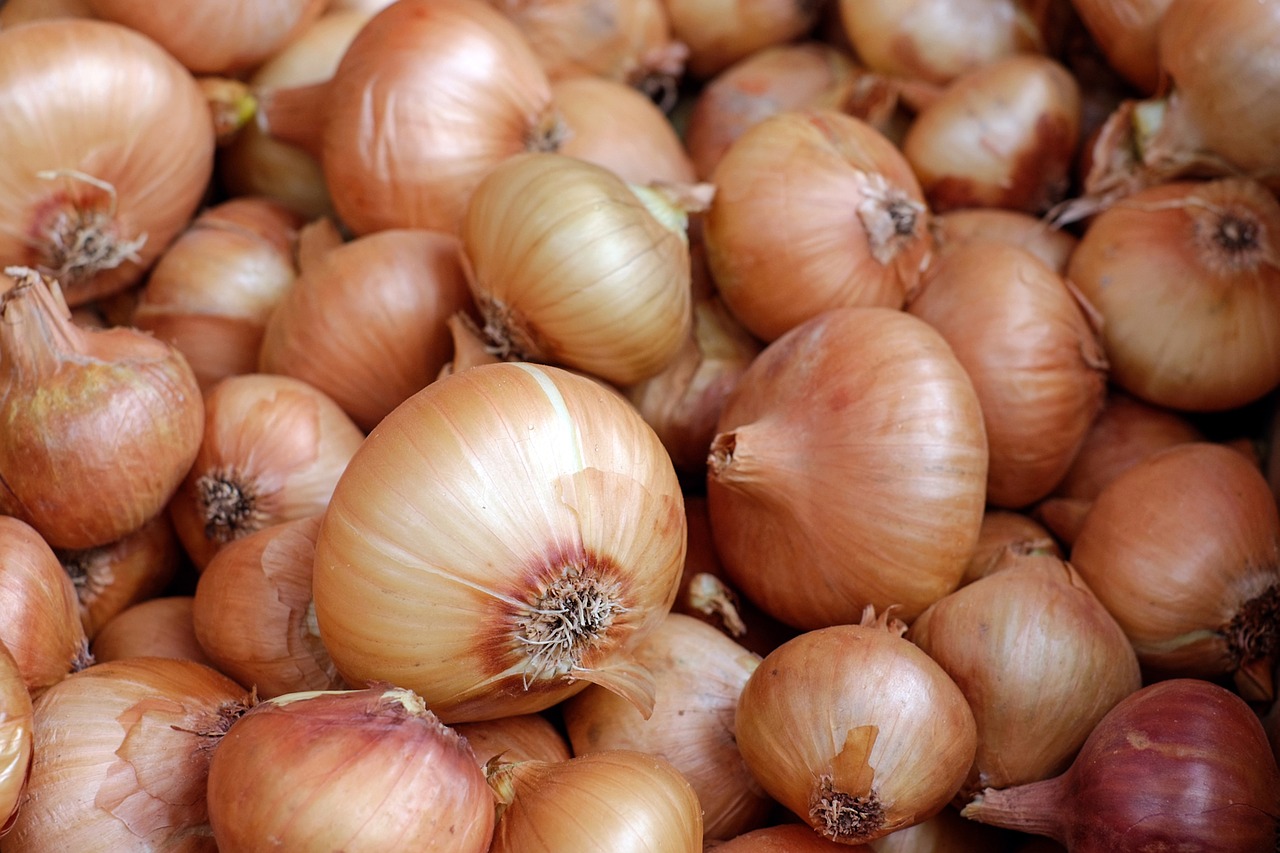 onions vegetables food free photo