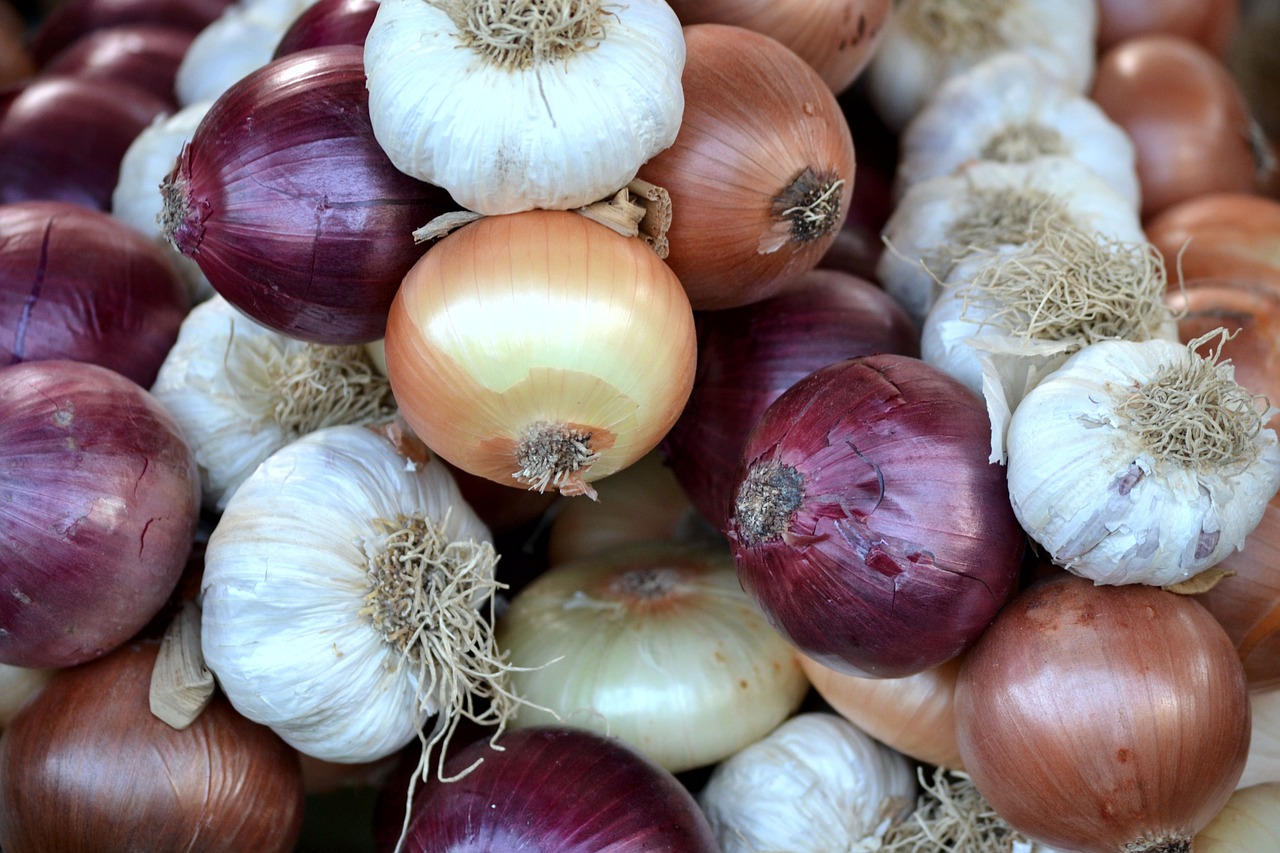 onions onion garlic free photo