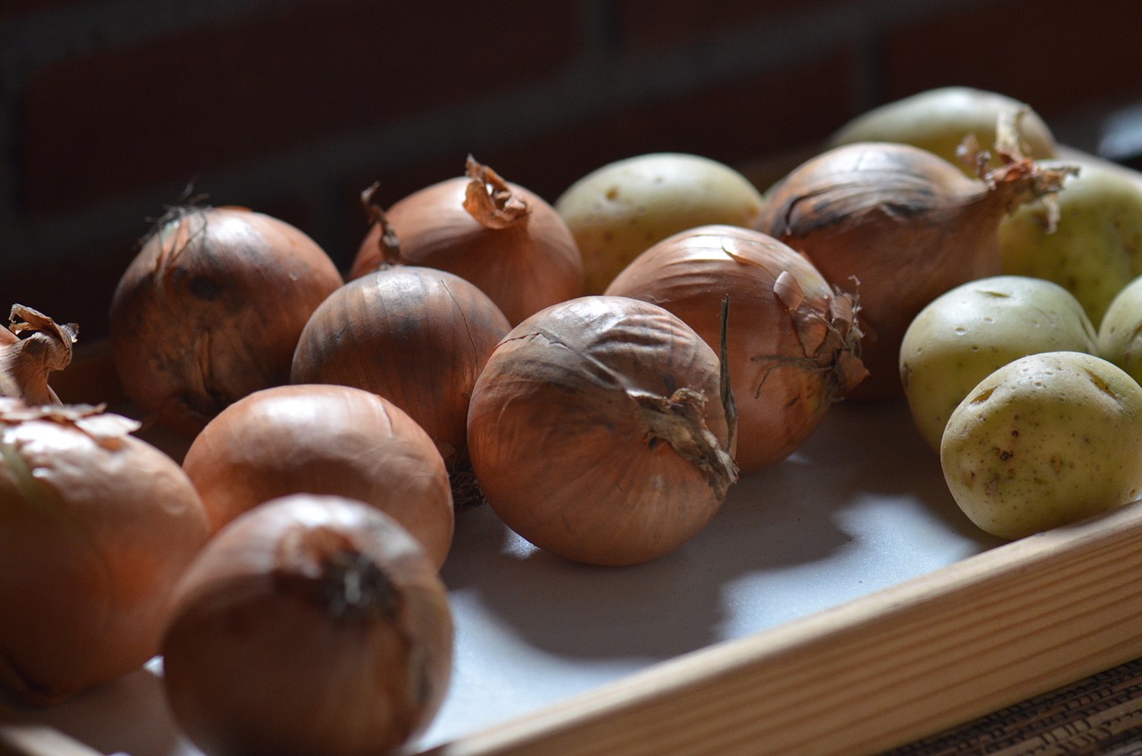 onions potato food free photo