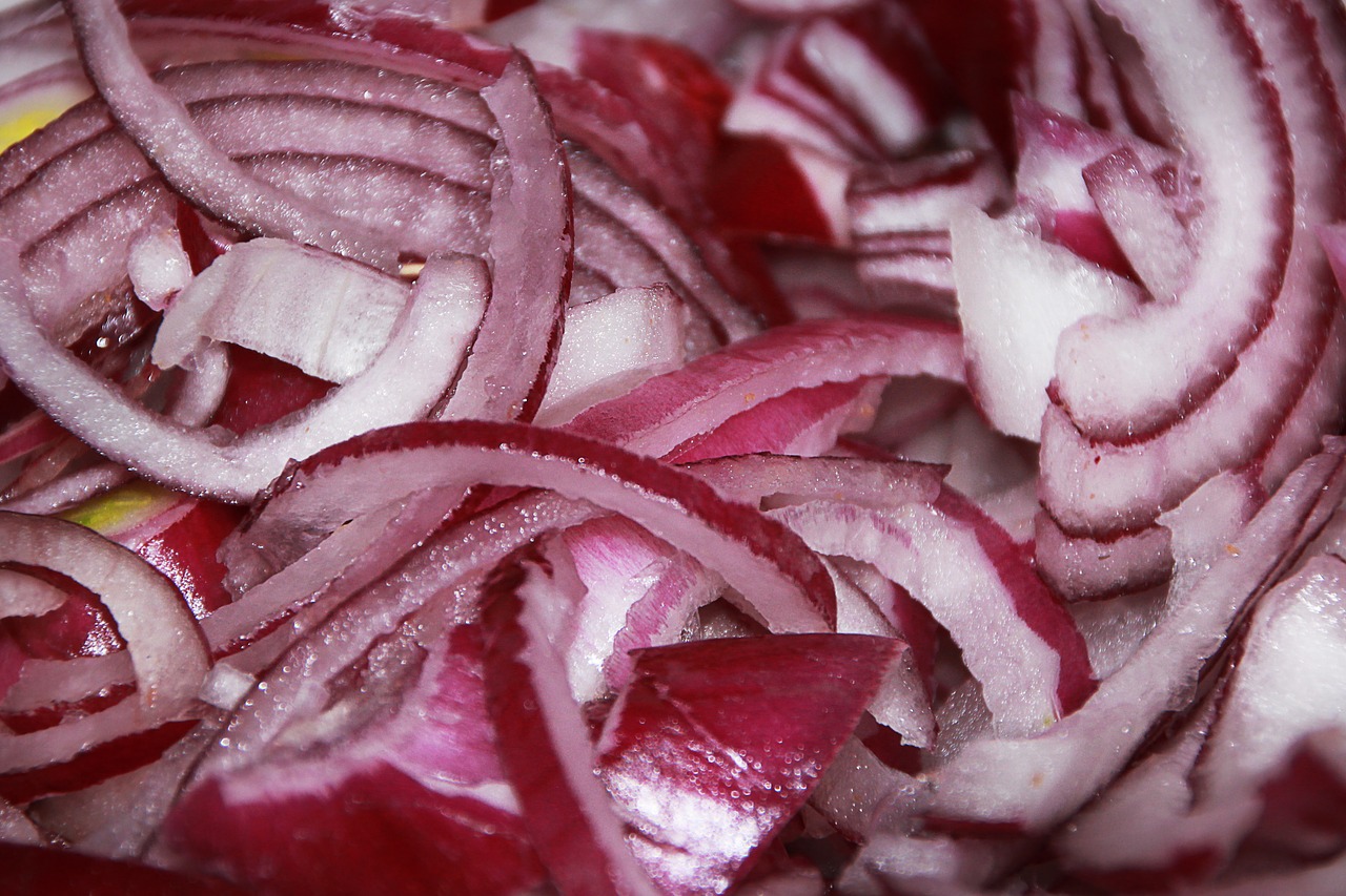 onions salad healthy free photo