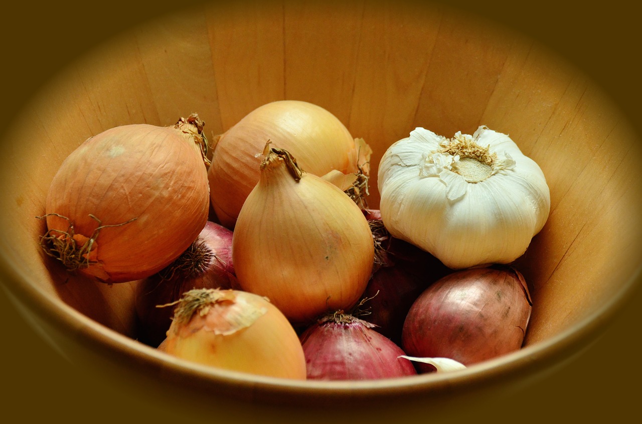 onions garlic tubers free photo