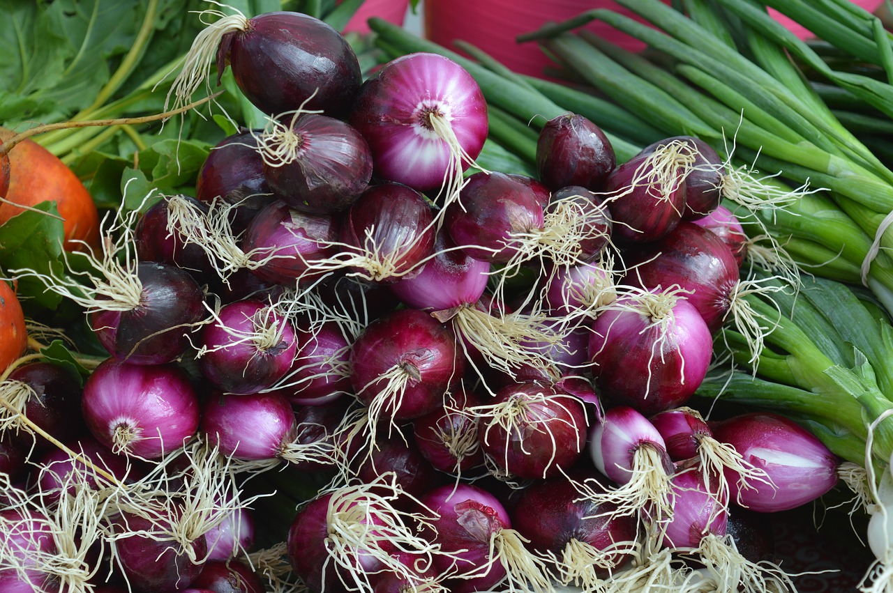 onions red green vegetables free photo
