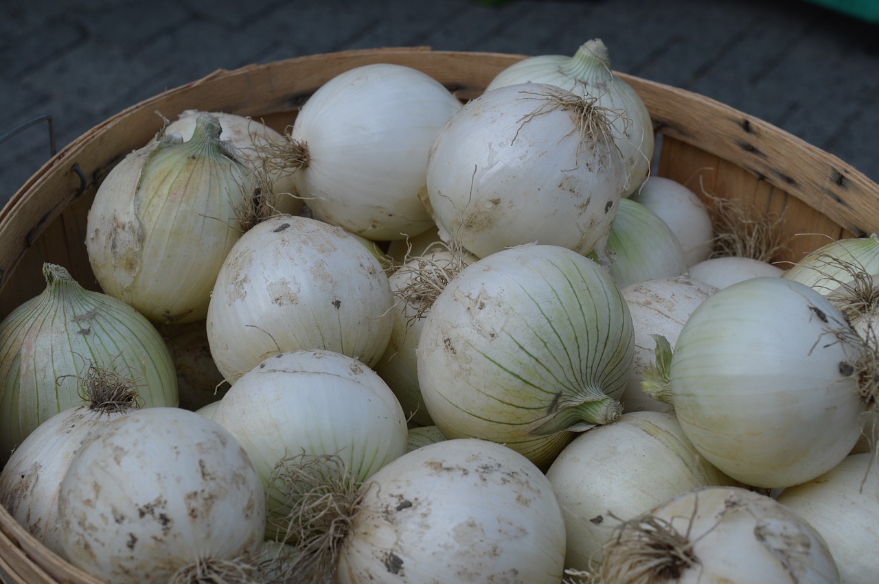 onions white vegetable free photo