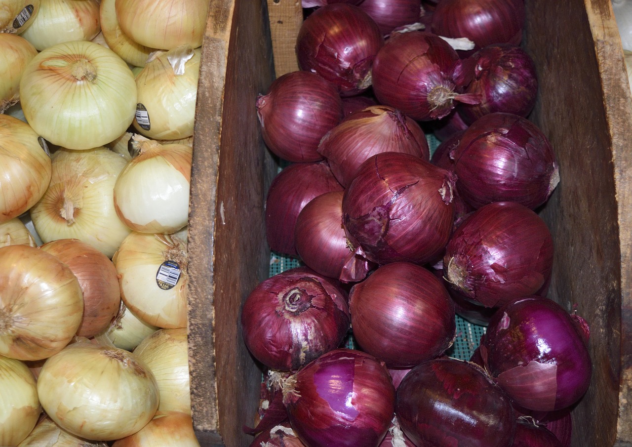 onions for sale herb free photo