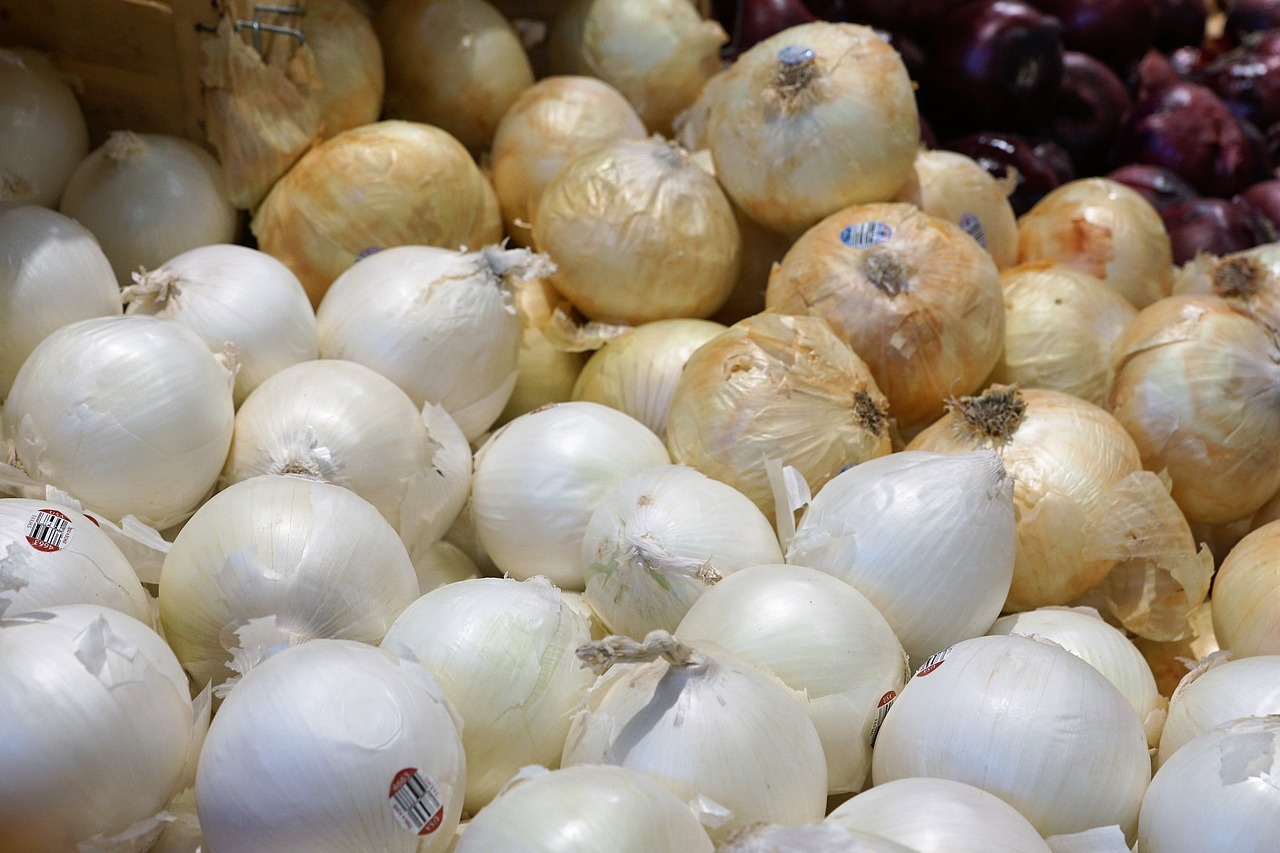 onions eat market free photo