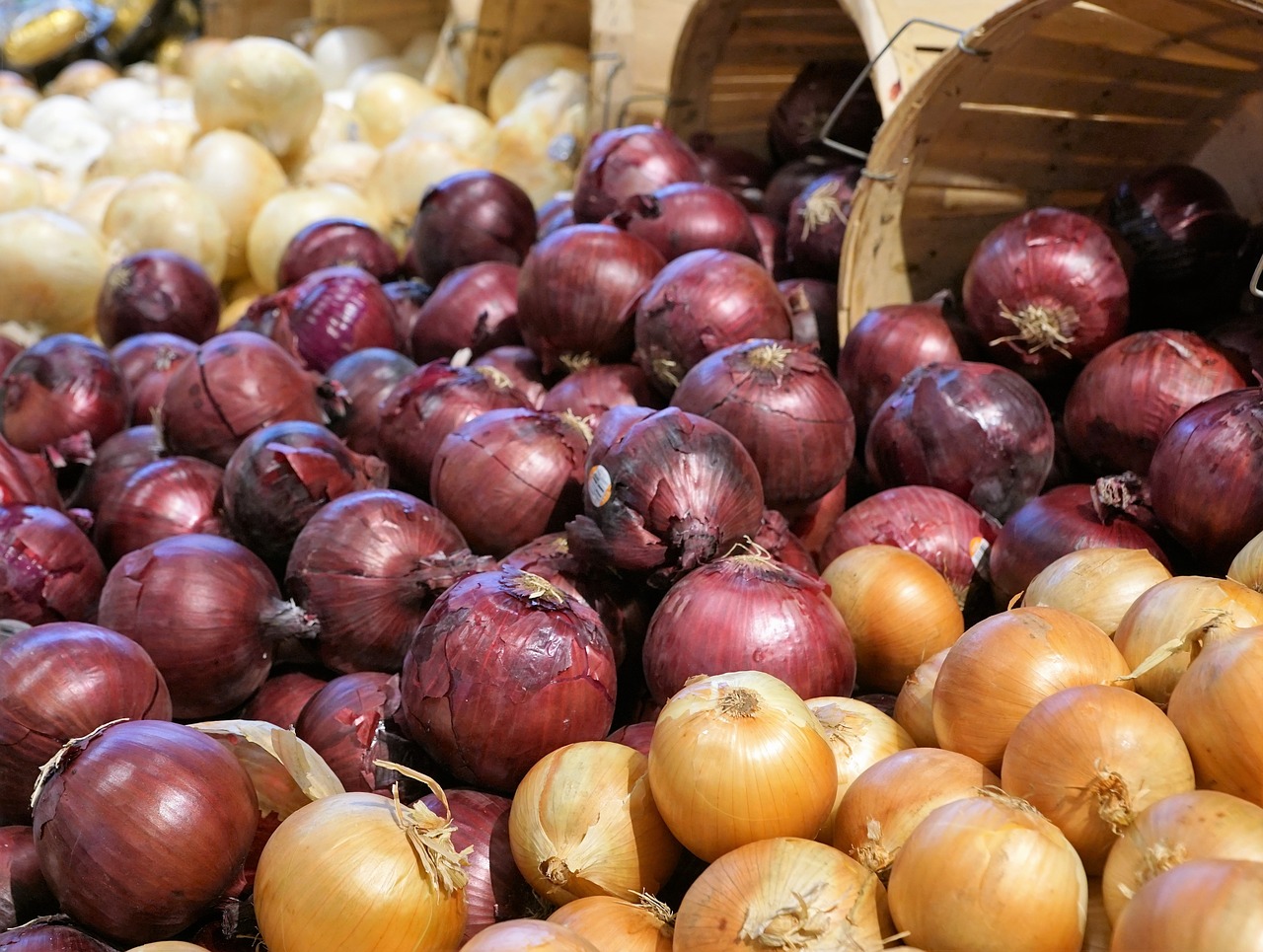 onions eat market free photo