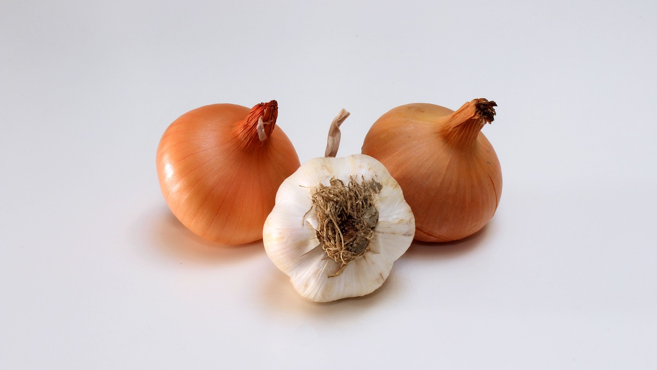 onions health food free photo