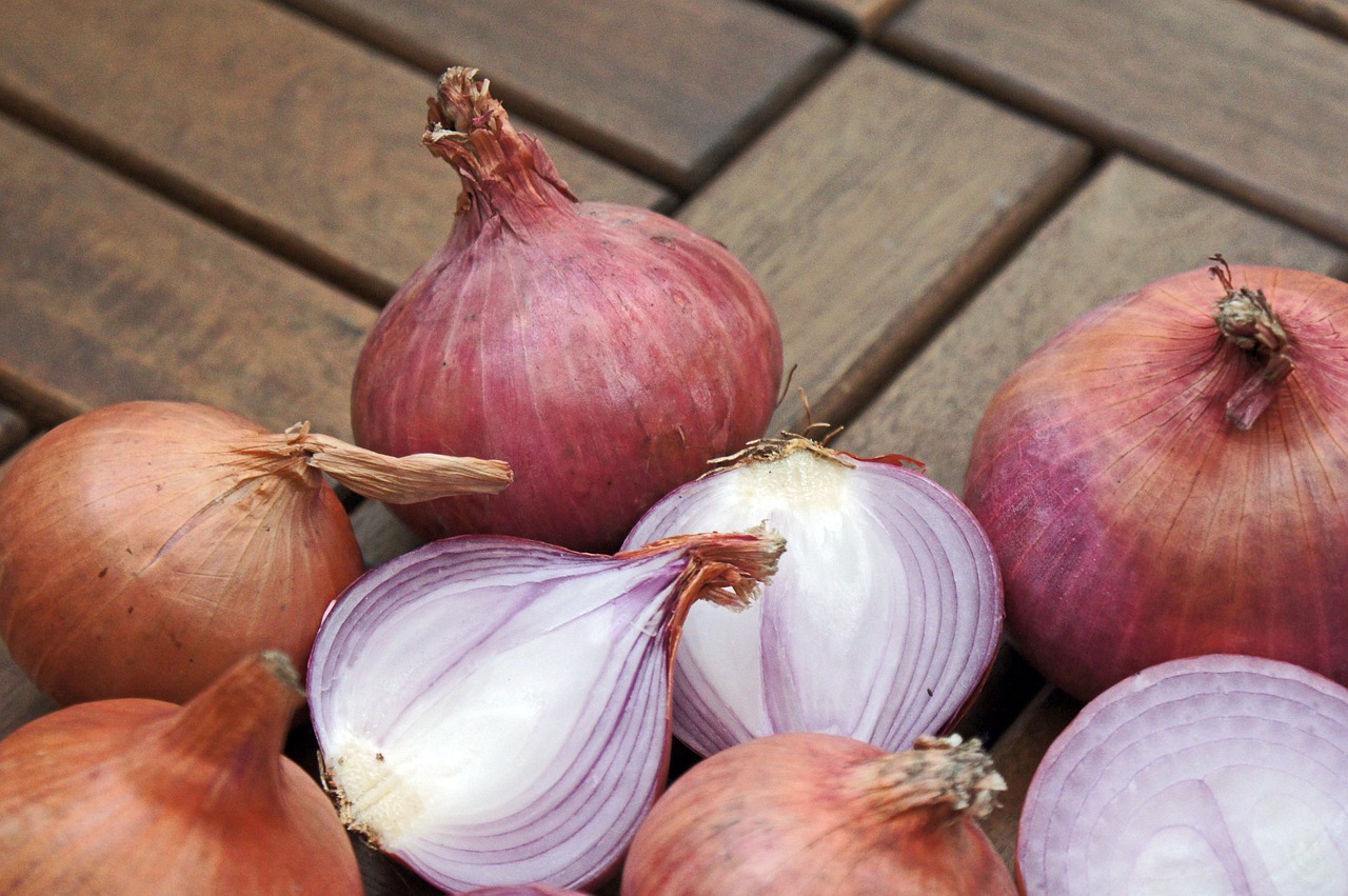 onions vegetable red free photo