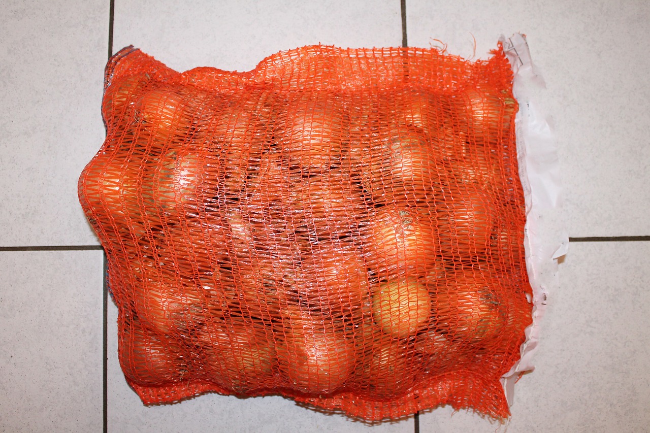 onions bag onion free photo