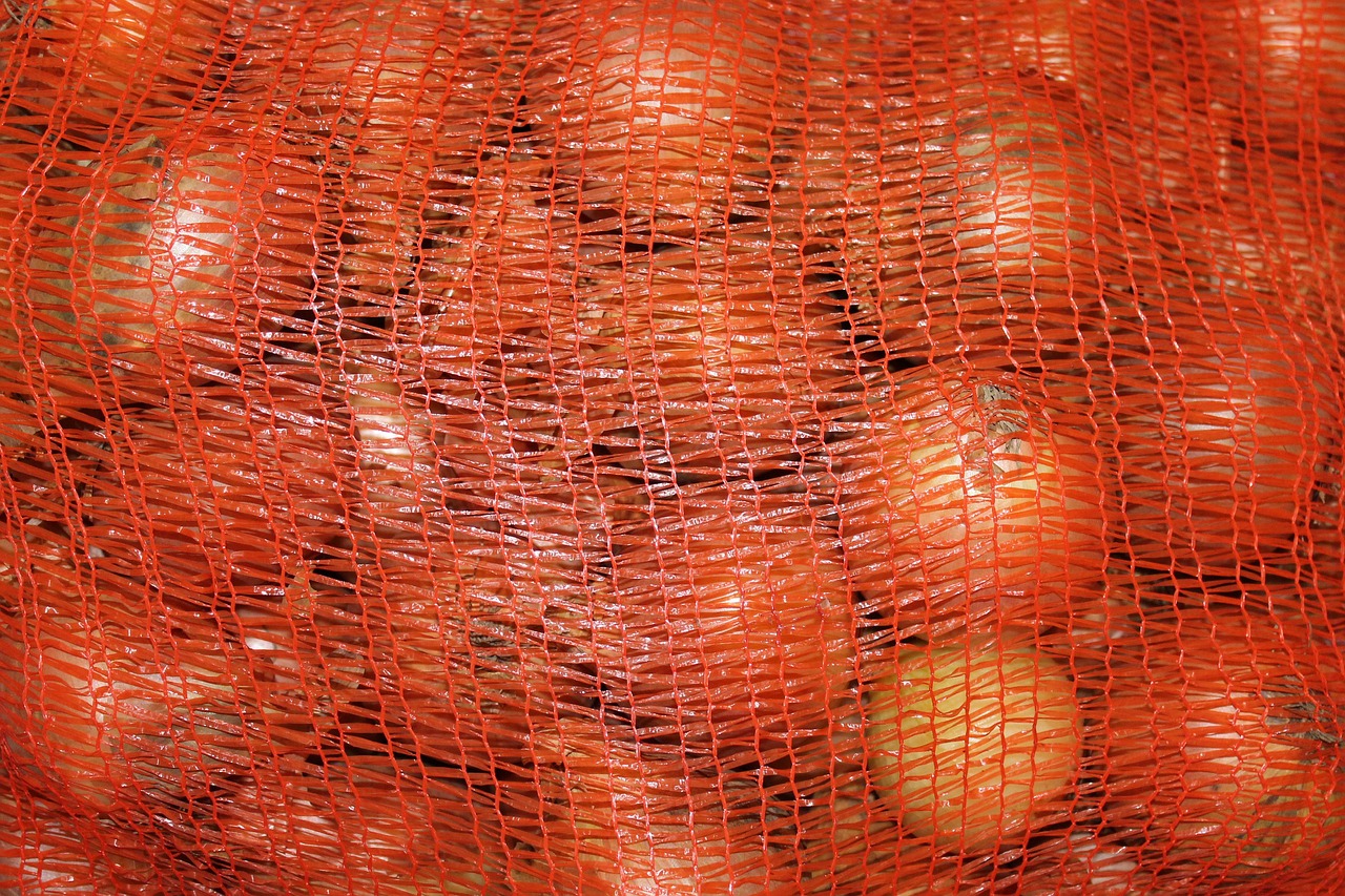 onions bag onion free photo