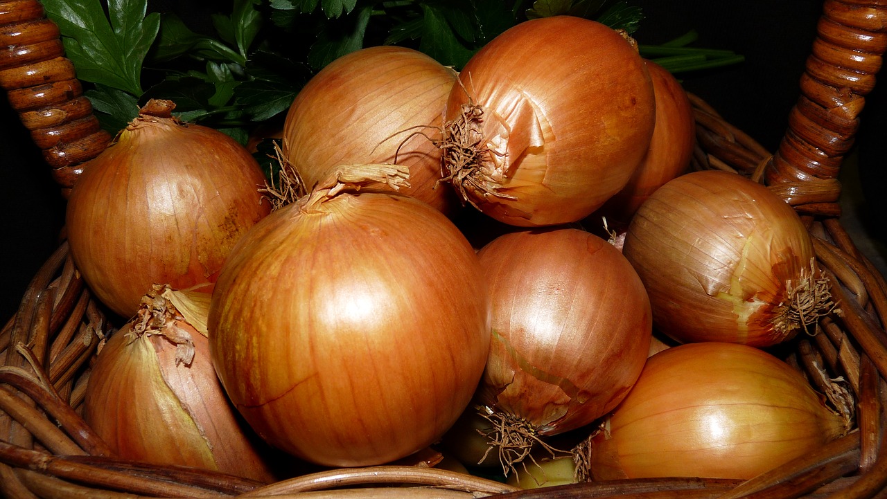 onions  vegetables  food free photo