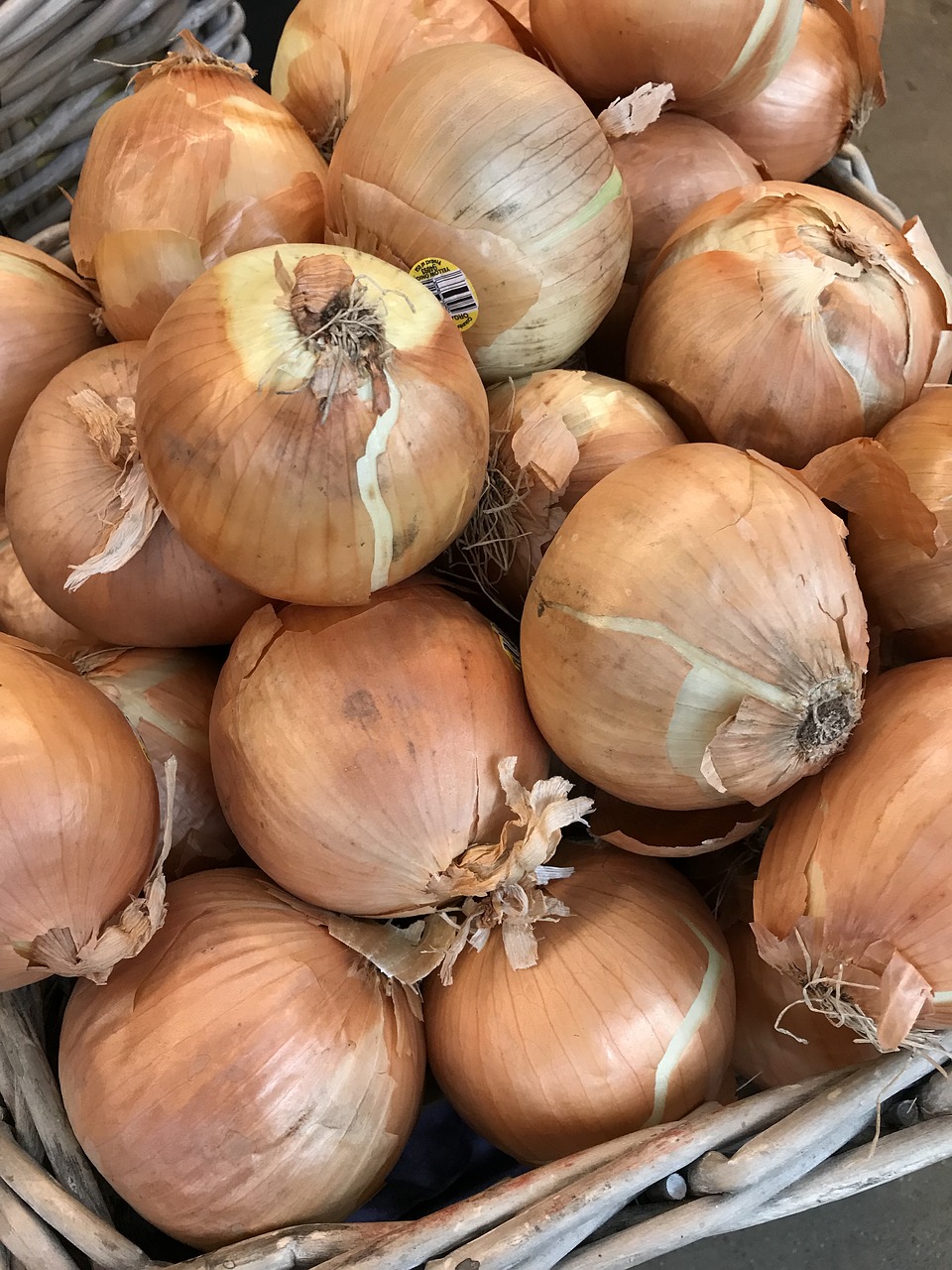 onions  vidalia onions  vidalia free photo