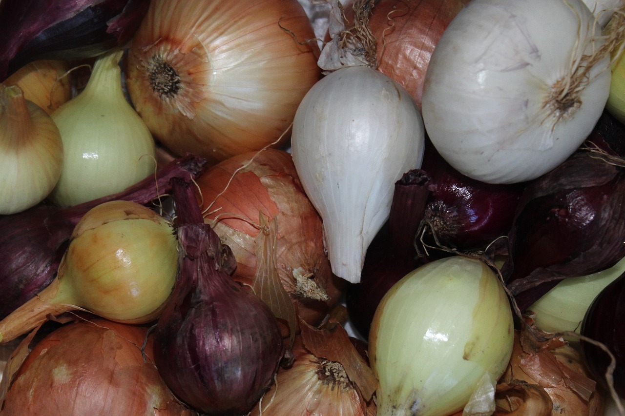 onions  vegetables  healthy free photo