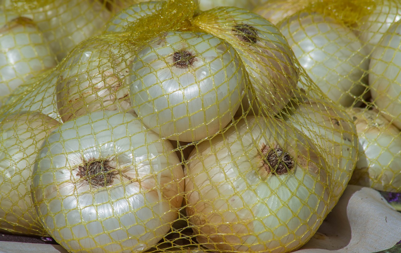 onions  net  vegetable free photo