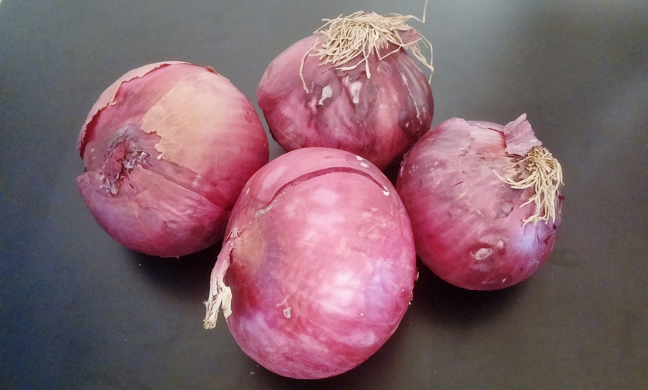 onions red onions purple onions free photo