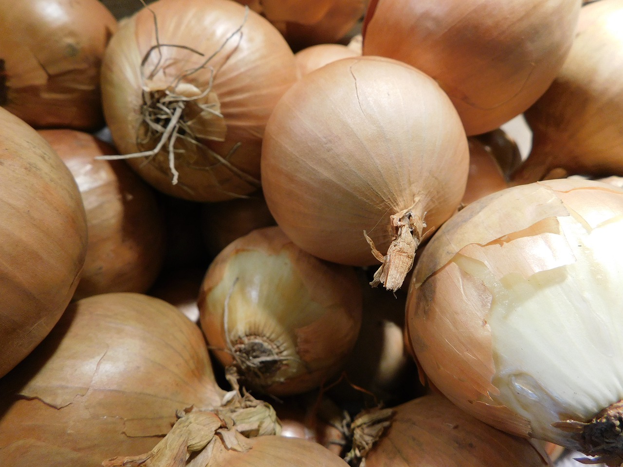 onions  kitchen  nutrition free photo