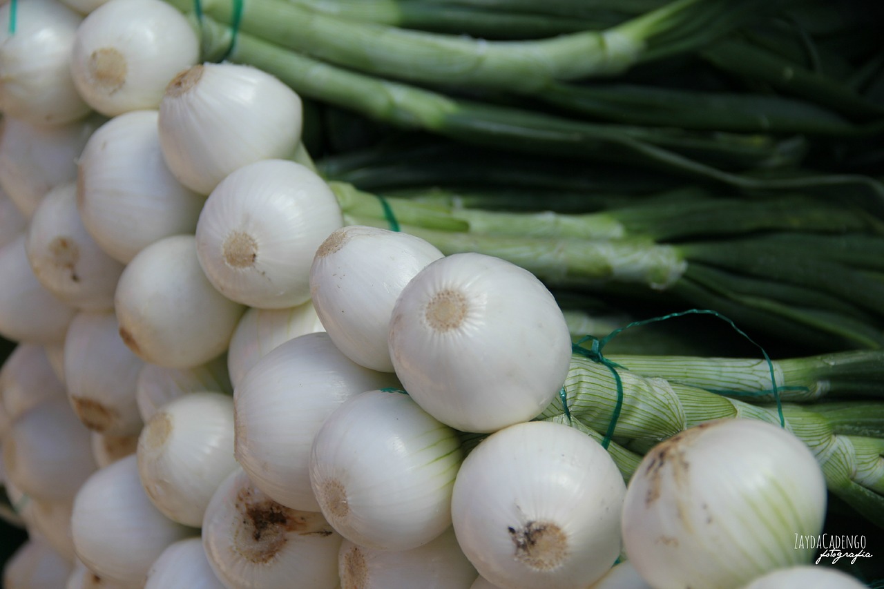 onions vegetable green free photo