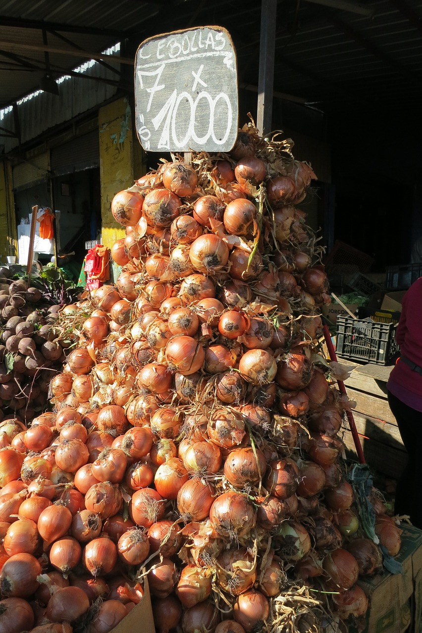 onions stack organic free photo